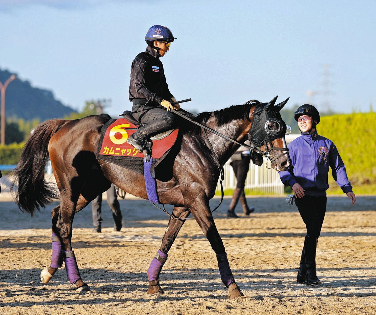 秋華賞枠順確定】オークス馬カムニャックは8枠17番、桜花賞馬エン