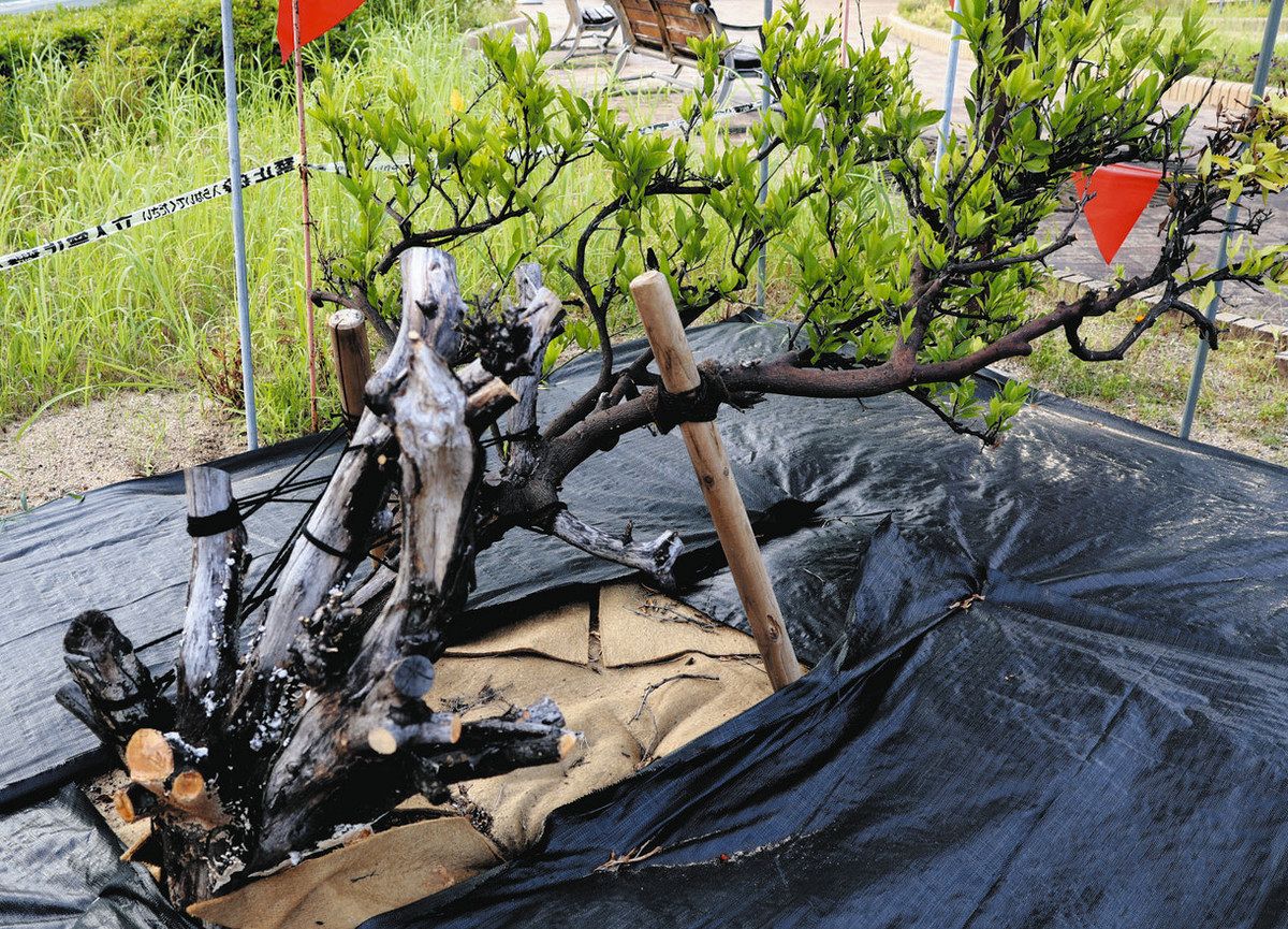 美しい自然と共生する日々