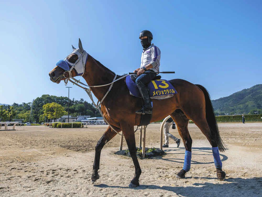 さるきち様 オーダー7枚 メイショウタバル追加 さるきち様 オーダー7枚 メイショウタバル追加 宝塚記念