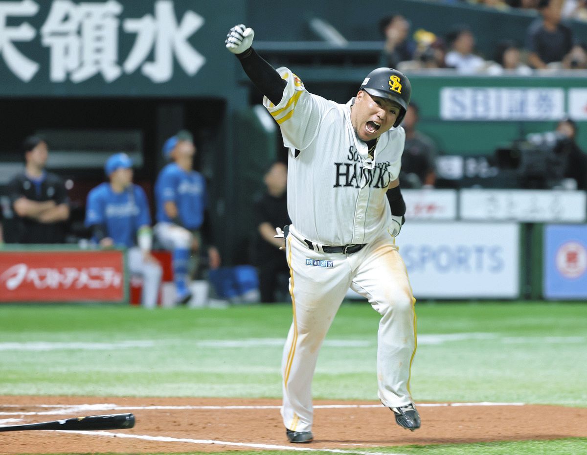 山川 穂高