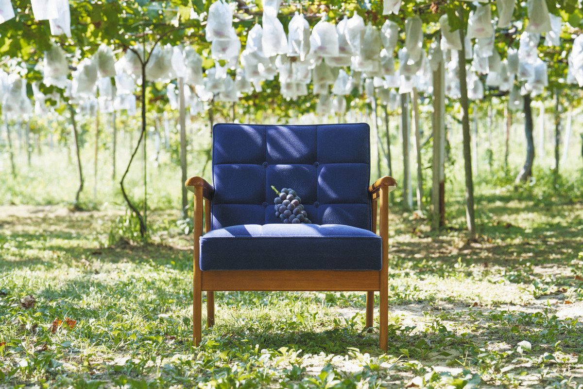 東浦産の巨峰とカリモク製品 ふるさと納税返礼品に限定デザインの商品