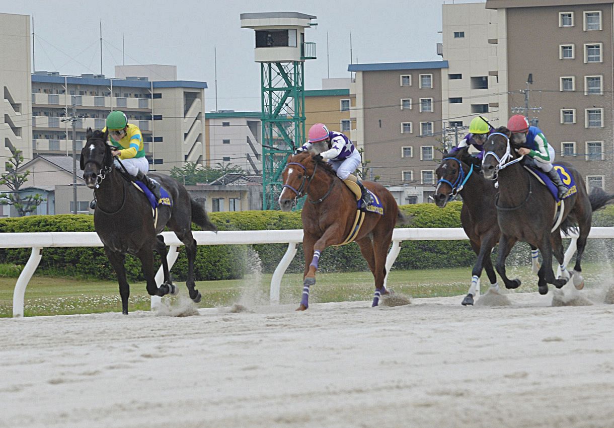 名古屋競馬は14日から無観客で開催 馬券はインターネットのみ発売 中日スポーツ 東京中日スポーツ