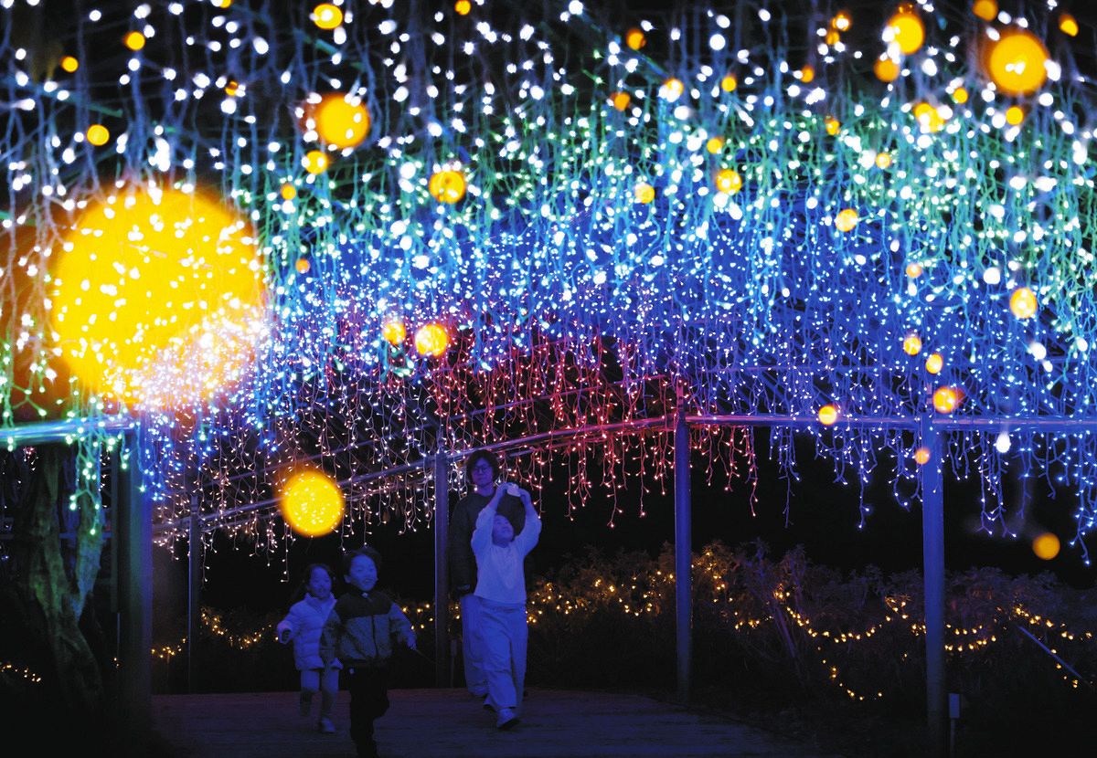 きらめき くぐり抜けて はままつフラワーパーク：中日新聞しずおかWeb