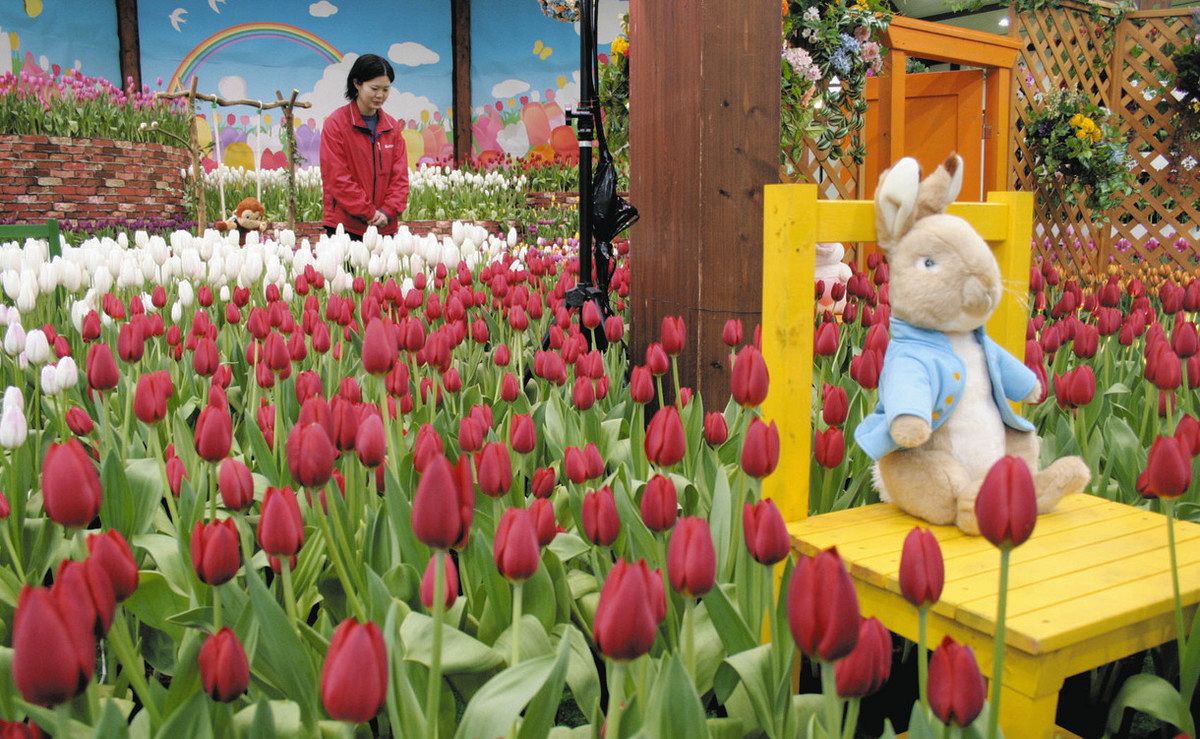 陽春へ、多彩なチューリップ 28日まで、安曇野の公園で満開：中日新聞Web
