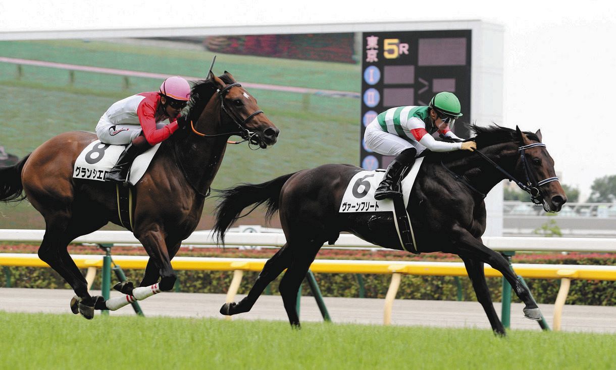 単勝1番人気ヴァーンフリートがデビュー勝ち 手塚師 距離はもっと長くてもいい 2歳新馬戦 中日スポーツ 東京中日スポーツ 単勝1番人気ヴァーンフリートがデビュー勝ち 手塚師 距離はもっと長くてもいい 2歳新馬戦 中日スポーツ 東京中日スポーツ