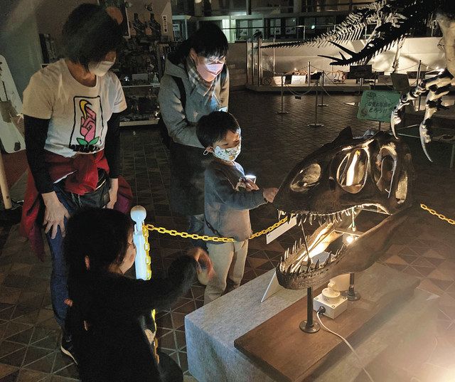 暗闇の恐竜、迫力 関で夜の博物館探検イベント：中日新聞Web - 中日新聞