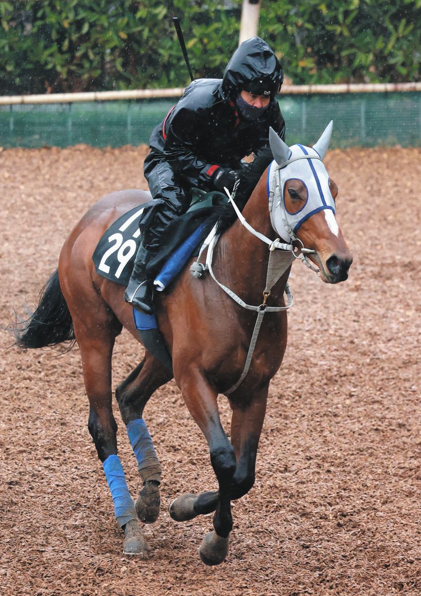 メイショウタバル、仕切り直しの前走快勝後も石橋師「いい状態」 横山 ...