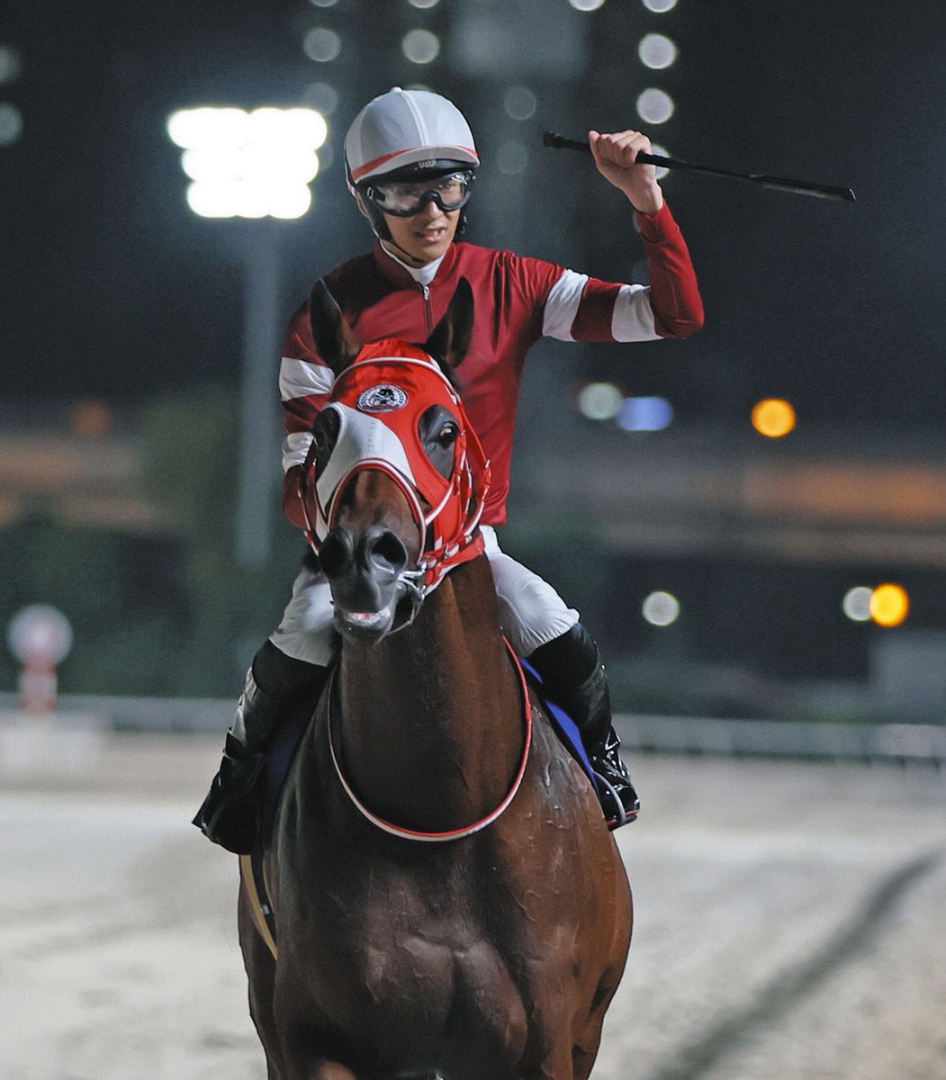 ブリーダーズカップ諸競走、枠順決まる【競馬】：中日スポーツ・東京中