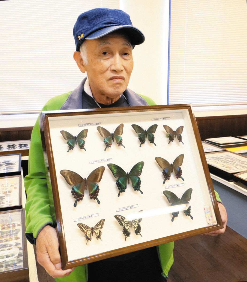 灯 あかり 半島に生きる】（16）昆虫採集と標本づくり 半世紀 洞内弘志