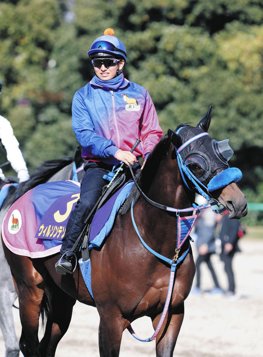 連勝止まったウィルソンテソーロ、G1初騎乗の原とタッグで再び