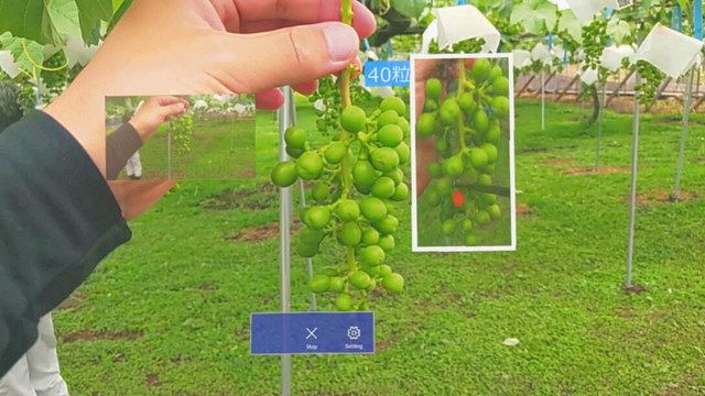 Meet STEAM＞ブドウ栽培用スマートグラス開発山梨大大学院