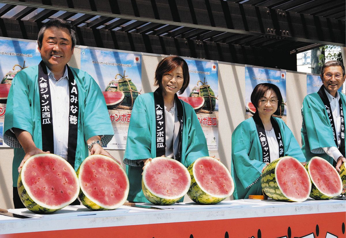 ジャンボな魅力味わって 入善 特産スイカ振る舞う：北陸中日新聞Web