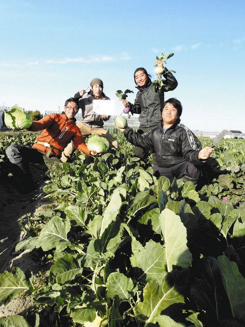 目指せ農業革命 磐田の花積さん 仲間と栽培 中日新聞しずおかweb