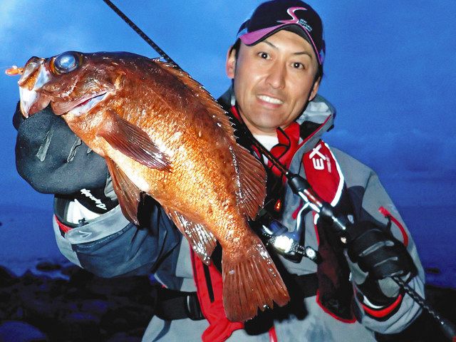 メバル 上弦後に妙味：中日スポーツ・東京中日スポーツ