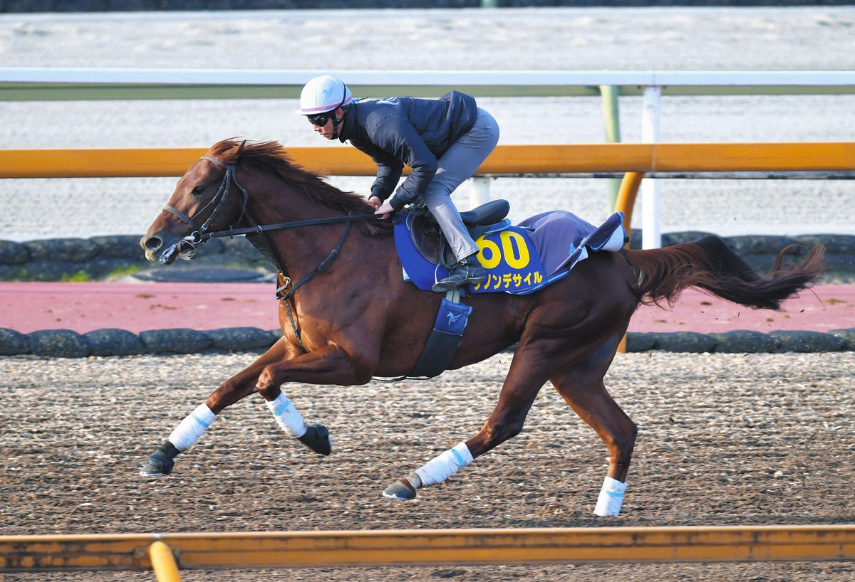 ダノンデサイル 2024 日本ダービー 出走馬ミニゼッケン F（東京