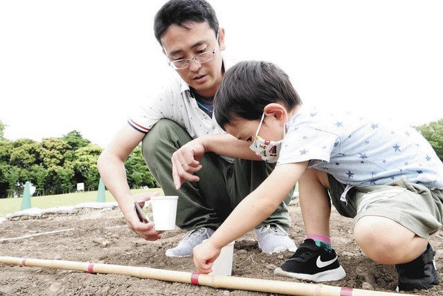 親子ら種まき 浜名湖ガーデンパーク ヒマワリ畑 中日新聞しずおかweb 親子ら種まき 浜名湖ガーデンパーク ヒマワリ畑 中日新聞しずおかweb