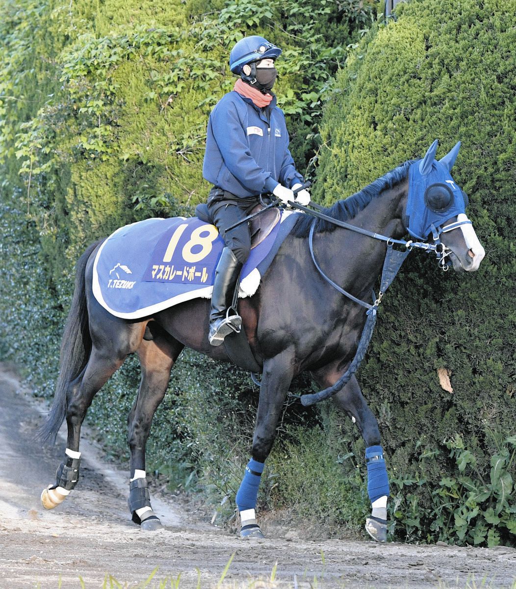 皐月賞・金曜チェック】共同通信杯Vのマスカレードボール、手塚久師