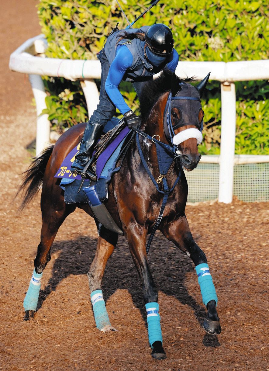 JRA-VAN☆ブローザホーン☆宝塚記念☆クリアファイル かゆく