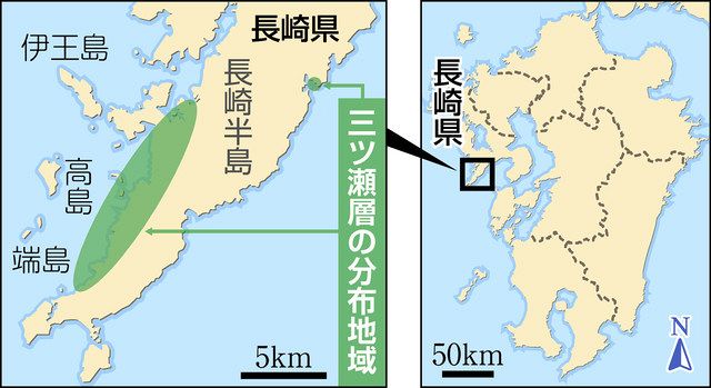 国内最大級の鳥脚類恐竜 長崎で化石発掘 恐竜博物館など確認 日刊県民福井web