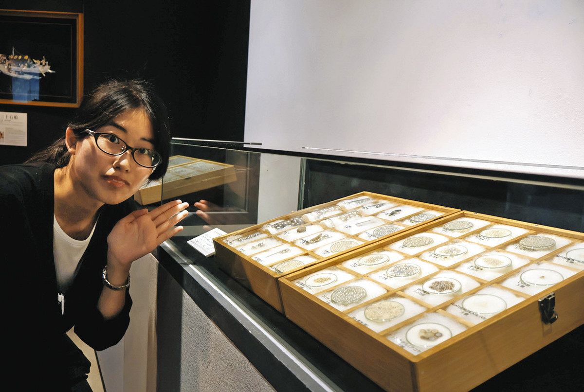 世界最大！目を引く4センチの養殖真珠 三重県鳥羽市の博物館で標本など