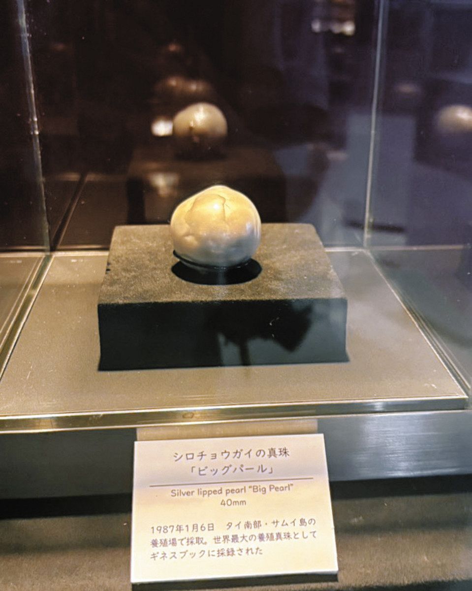 本物の真珠が入った記念 2005年 海洋生物保護シリーズ 本物の真珠が