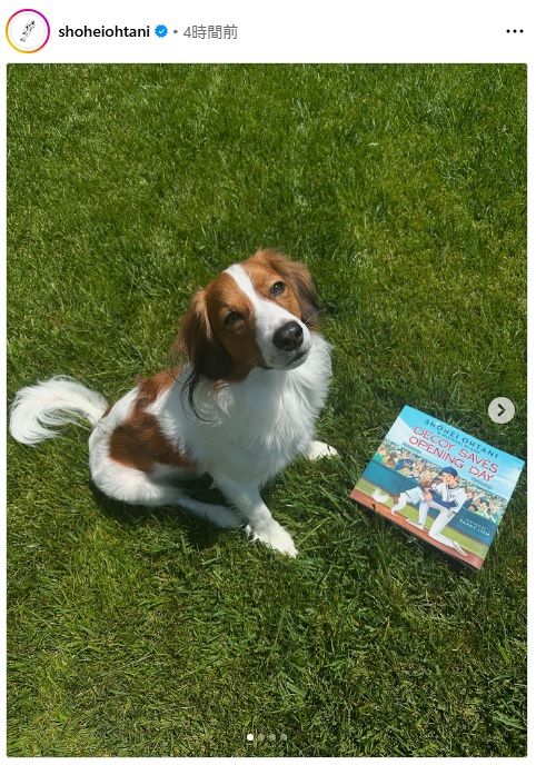 ◇大谷翔平が公開したデコピンの“夏休み”【写真】：中日スポーツ・東京