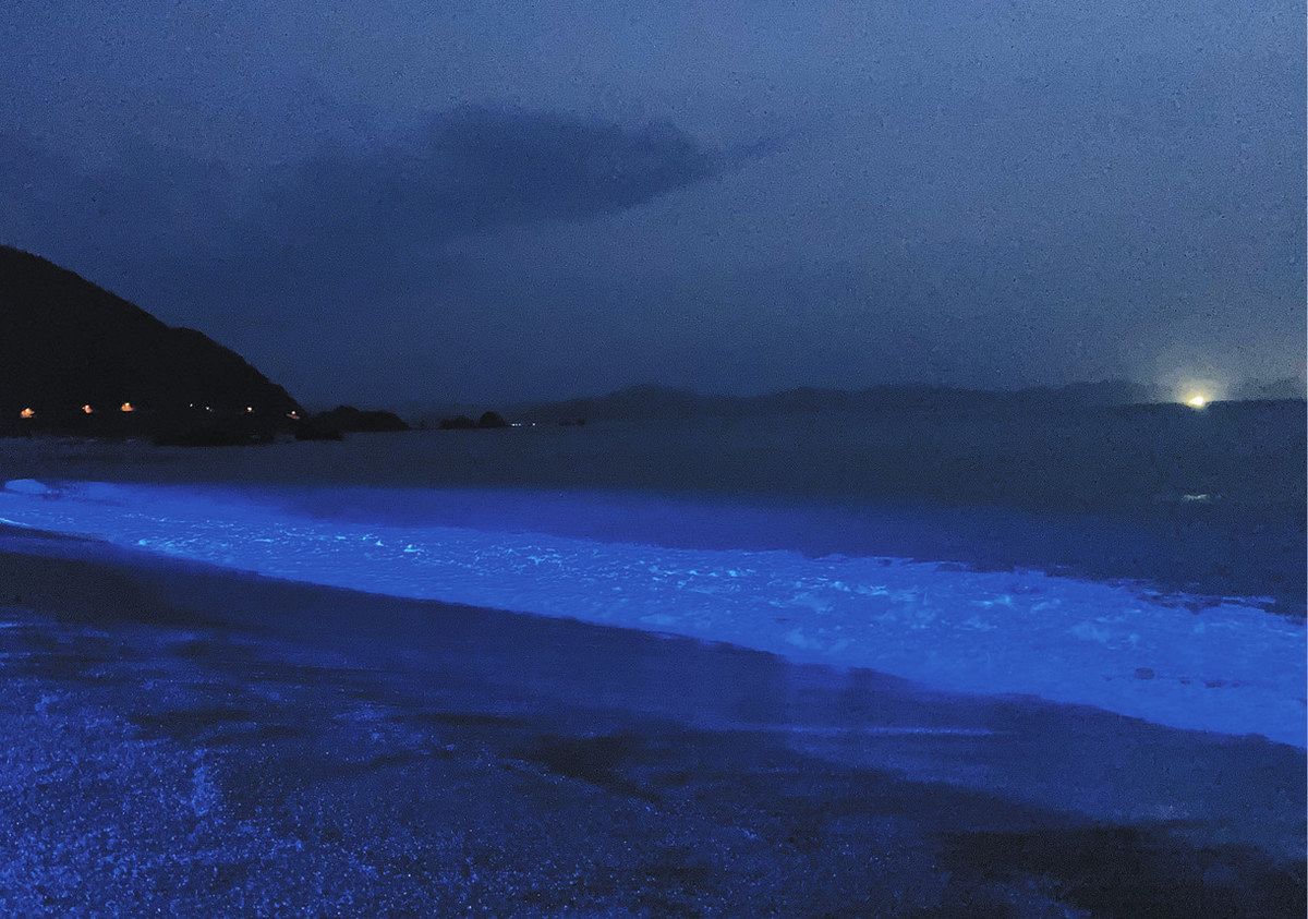 日本海側初、水晶浜でライトアップ 27日から、美浜町で「NIGHT WAVE 