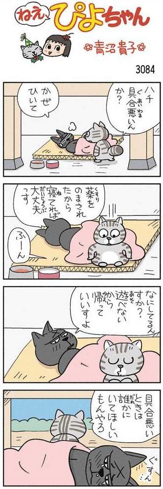 ねえ、ぴよちゃん：中日新聞Web