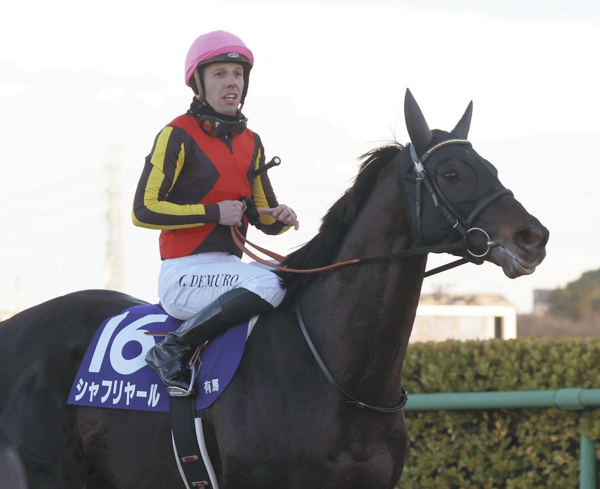 有馬記念で2着のシャフリヤールが引退 国内外でGⅠ2勝【競馬】：中日