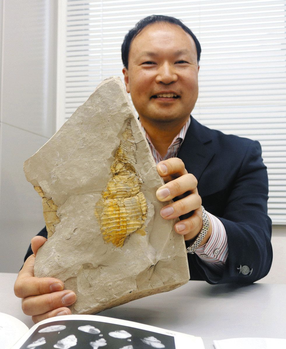 新種の巻き貝化石、知多半島で発見 ヒメナガバイ属、世界最古と判明