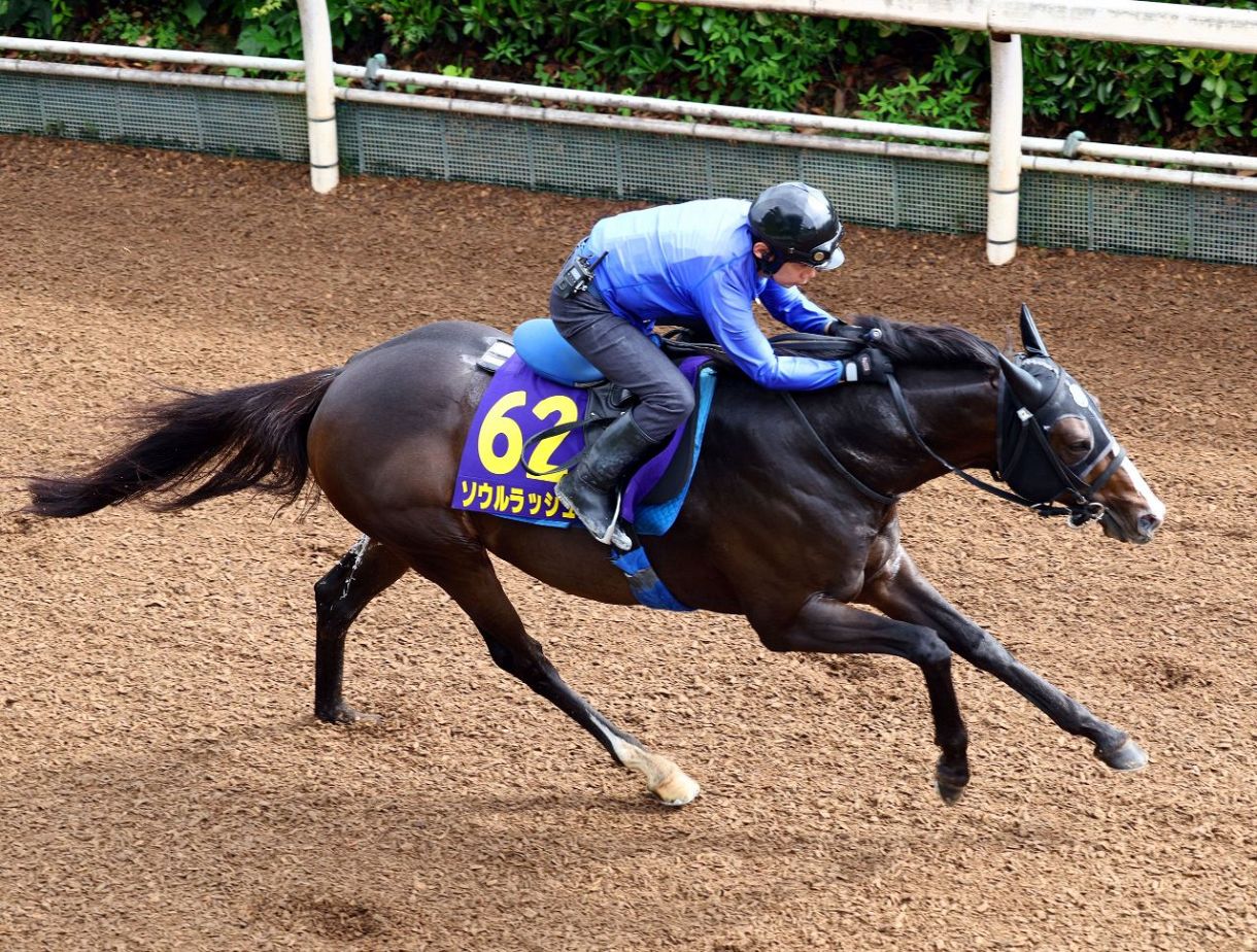 安田記念・吉田稔さん予想】本命はソウルラッシュ、マイル戦はマイルCS