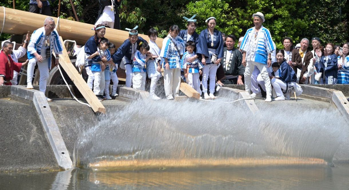 動画・写真特集】伊勢神宮の式年遷宮に向け「お木曳行事」始まる 72の