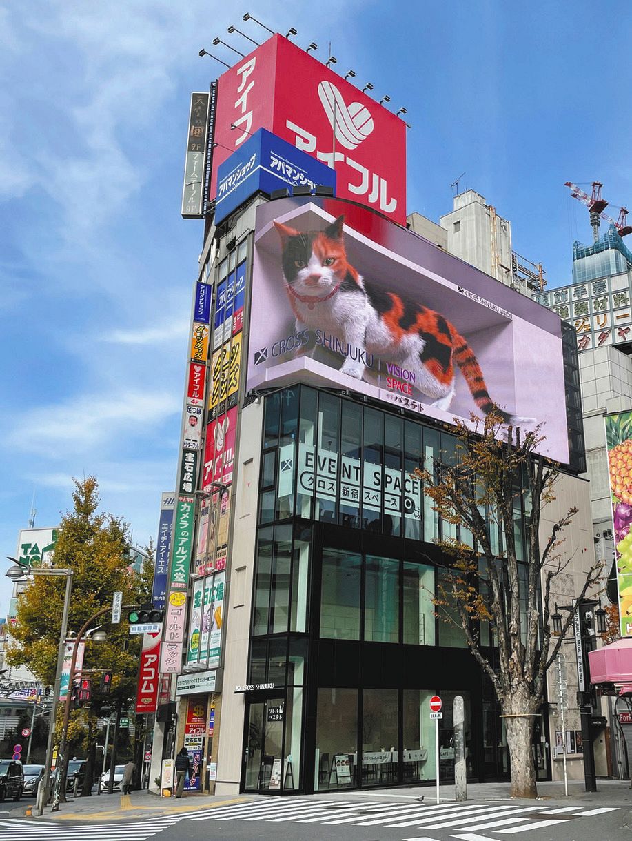 ３Ｄ巨大三毛猫「新宿東口の猫」で話題のクロス新宿ビジョン