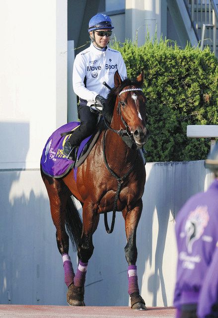 天皇賞・秋展望】ドウデュースは連覇狙う“世界最強馬”イク