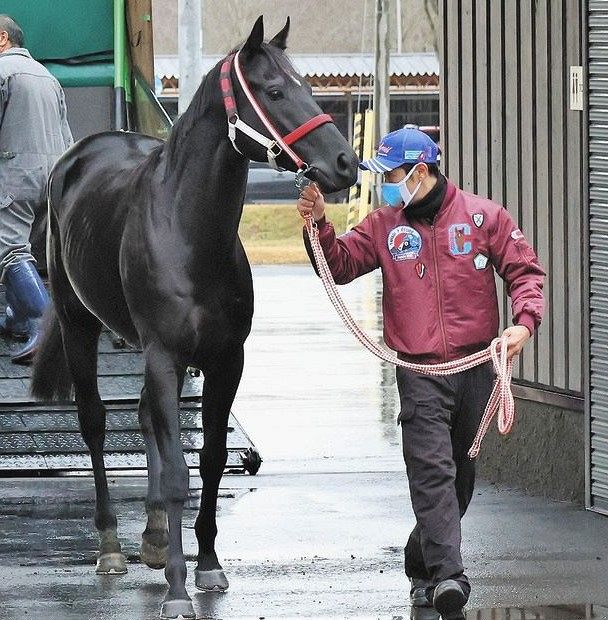 社台スタリオンS種牡馬カタログ 2002年版 ウマ娘登場名馬多数掲載」