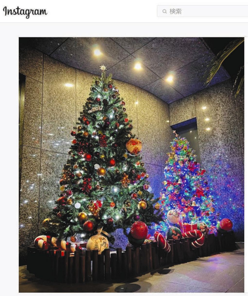 写真】浜崎あゆみ子どもの人数分だけ飾ったクリスマスツリー：中日 