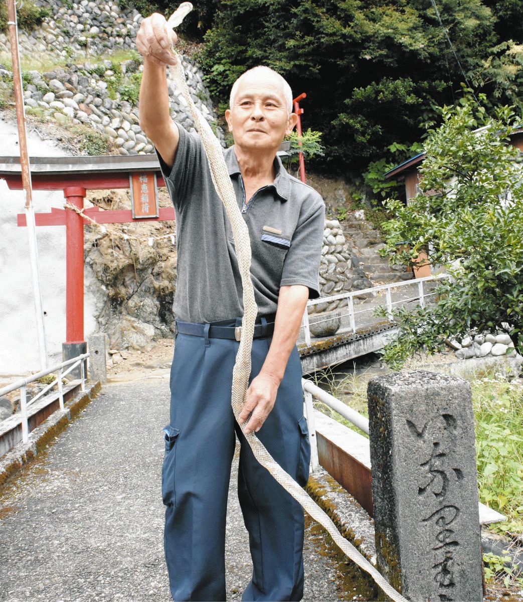 長いぞ！ヘビの抜け殻2メートル 岐阜・揖斐川の住民が発見「巳年に縁起