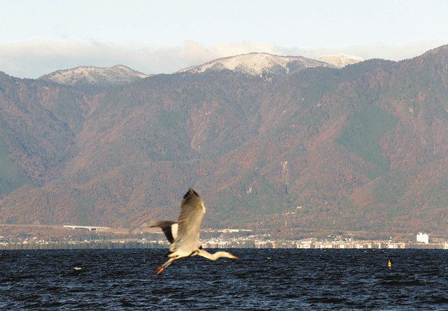 比良山系で初冠雪 平年より１５日遅く 中日新聞web