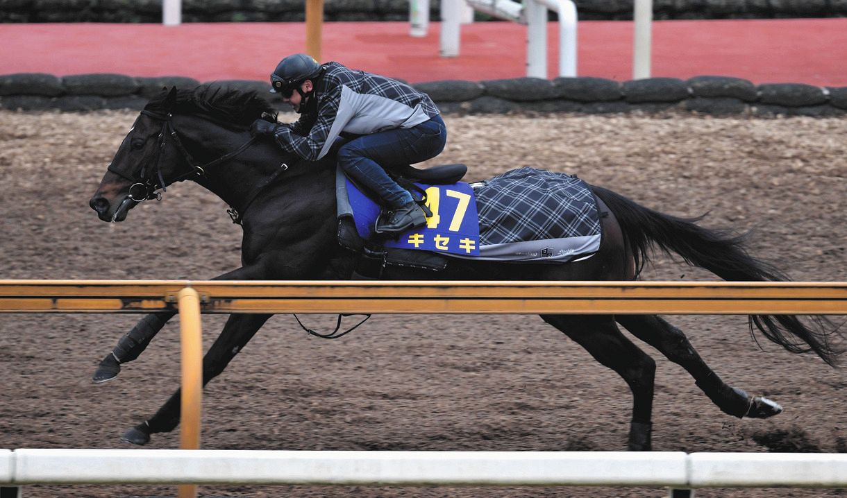 有馬記念枠順確定 引退レースのキセキは8枠15番 内でもまれるよりは 中日スポーツ 東京中日スポーツ