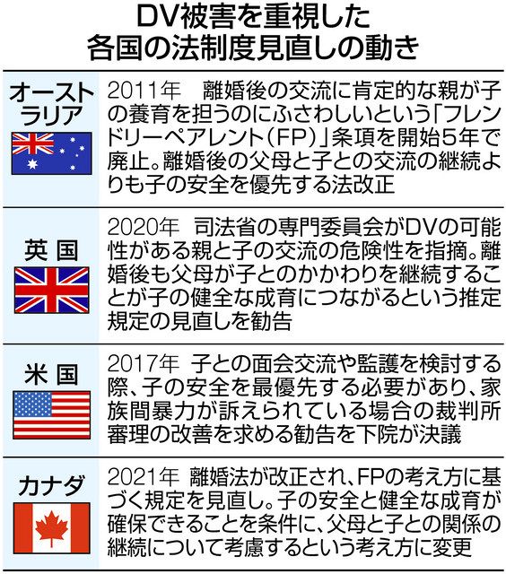 Dvと共同親権 下 続く被害 安全優先 導入に警鐘 中日新聞web