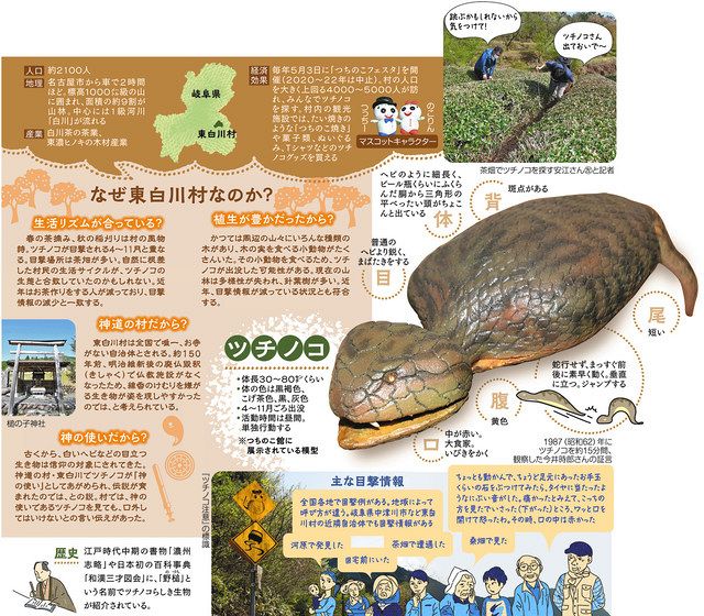 幻のツチノコを捕獲せよ!! 全国各地で目撃多発!ツチノコは必ずいる 