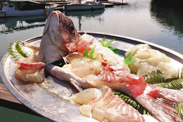 みえFOOD記＞ 南伊勢の養殖マダイ：中日新聞Web