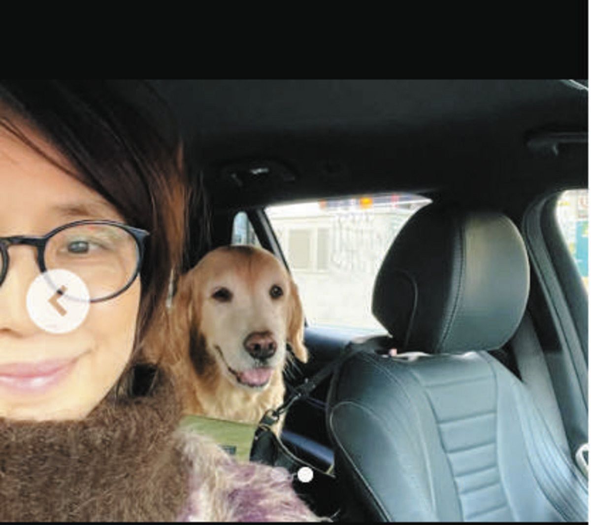 ◇石田ゆり子、車の中で愛犬とのツーショット【写真】：中日スポーツ