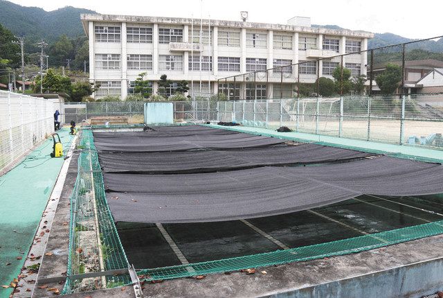 オオサンショウウオ在来種ピンチ 各地で広がる日中交雑種 中日新聞web