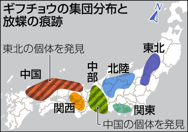 生息域外のギフチョウ？ 岐阜大・土田教授ら、遺伝子解析で発見：中日