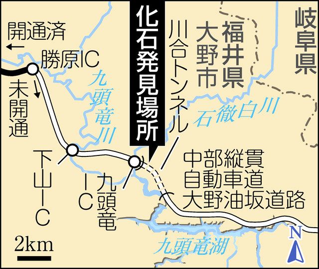 大野で新種アンモナイトか 後期ジュラ紀・大型の化石発見：日刊県民福井Web