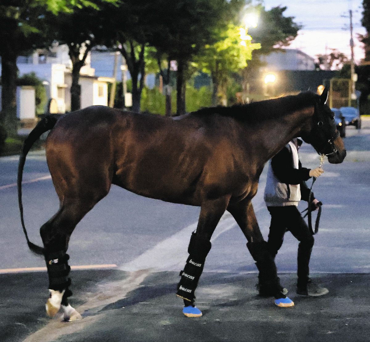 宝塚記念・枠順確定】2枠4番に決まったG1初挑戦ミクニインスパイア 林