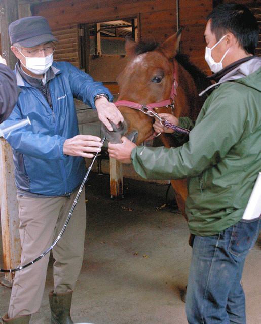 馬の健康管理にエックス線診断や内視鏡 木曽・開田高原で講習会:中日新聞Web 馬の健康管理にエックス線診断や内視鏡 木曽・開田高原で講習会:中日新聞Web