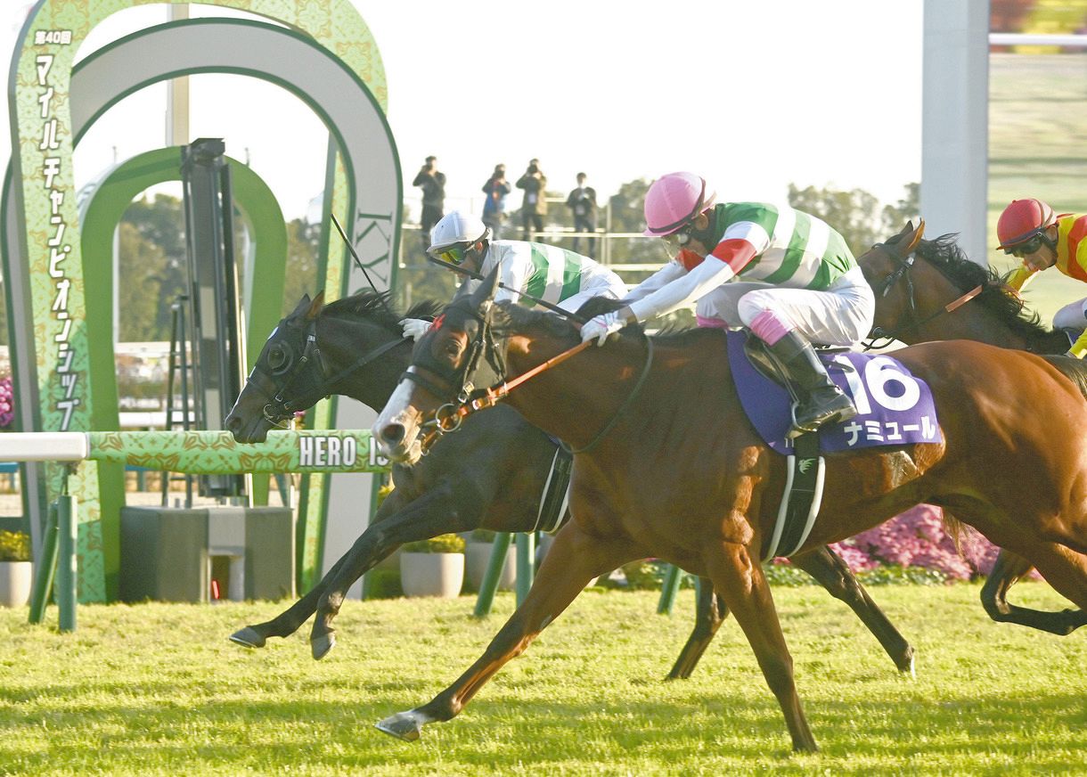 ナミュールが大外から差し切ってG1初勝利 代打騎乗の藤岡康が