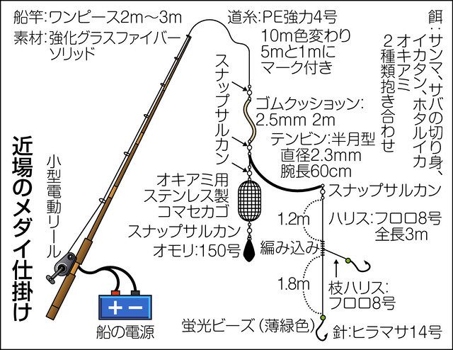 メダイ極上 若狭湾 中日スポーツ 東京中日スポーツ